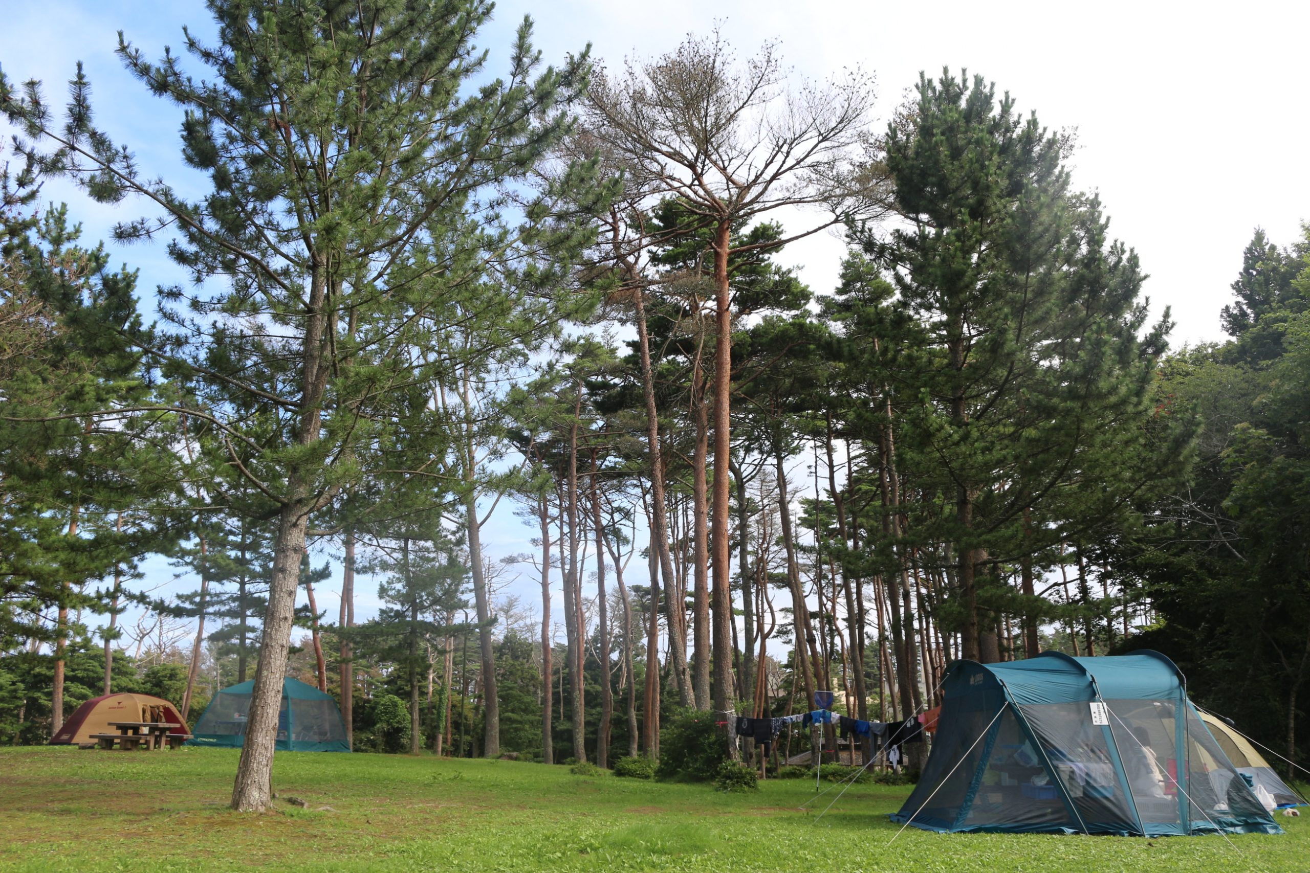 キャンプサイト